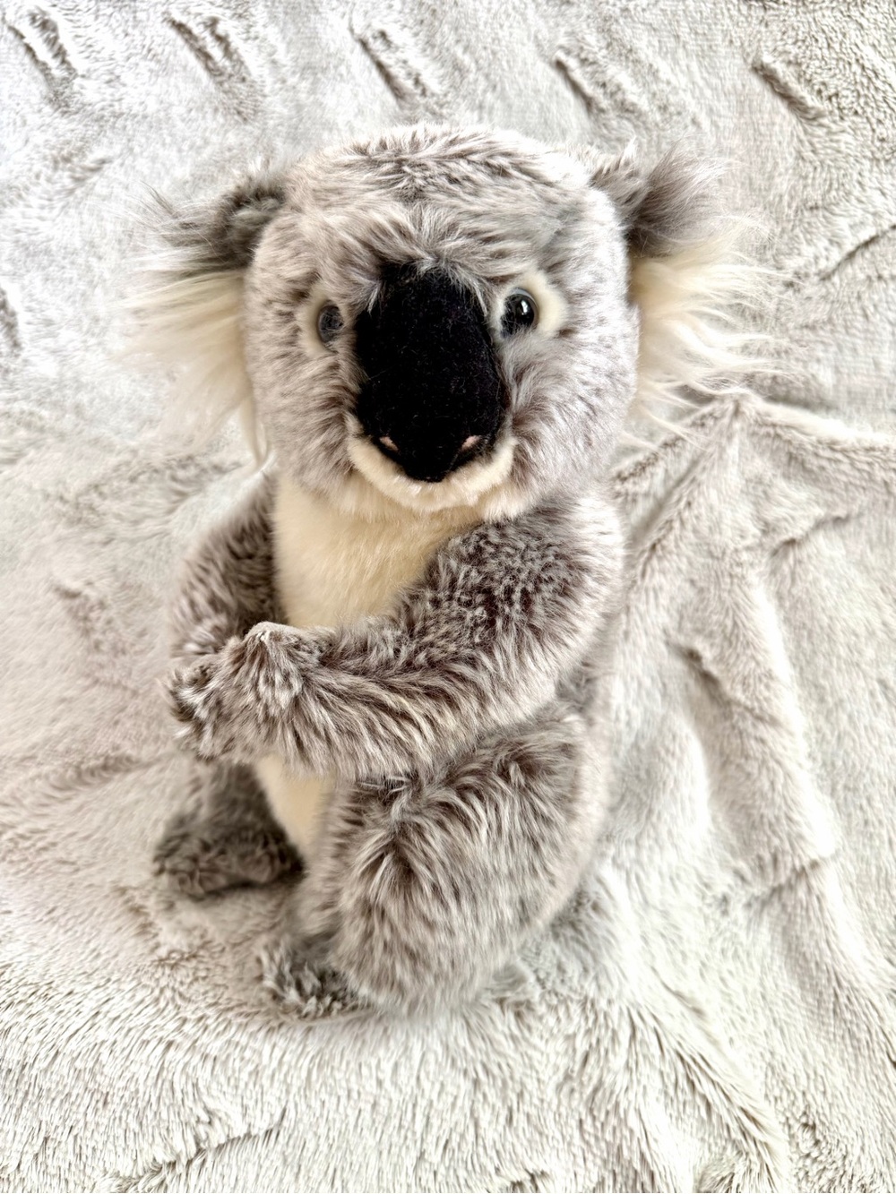 Ganz Webkinz Signature Koala Bear Plush Stuffed Animal WKS1028 NO CODE